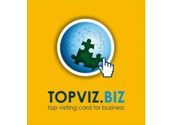 Top Viz Biz